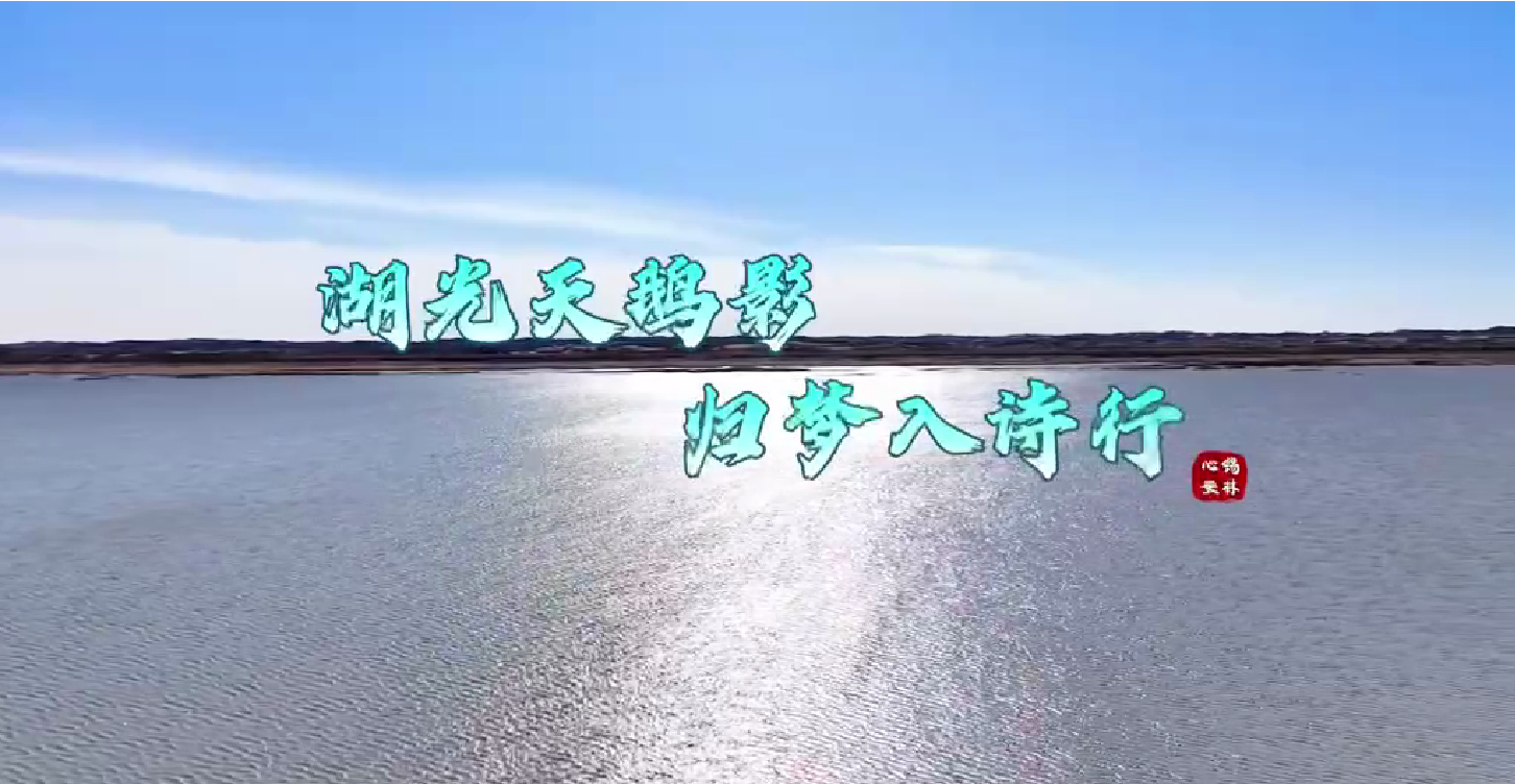 锡林浩特：湖光天鹅影 归梦入诗行
