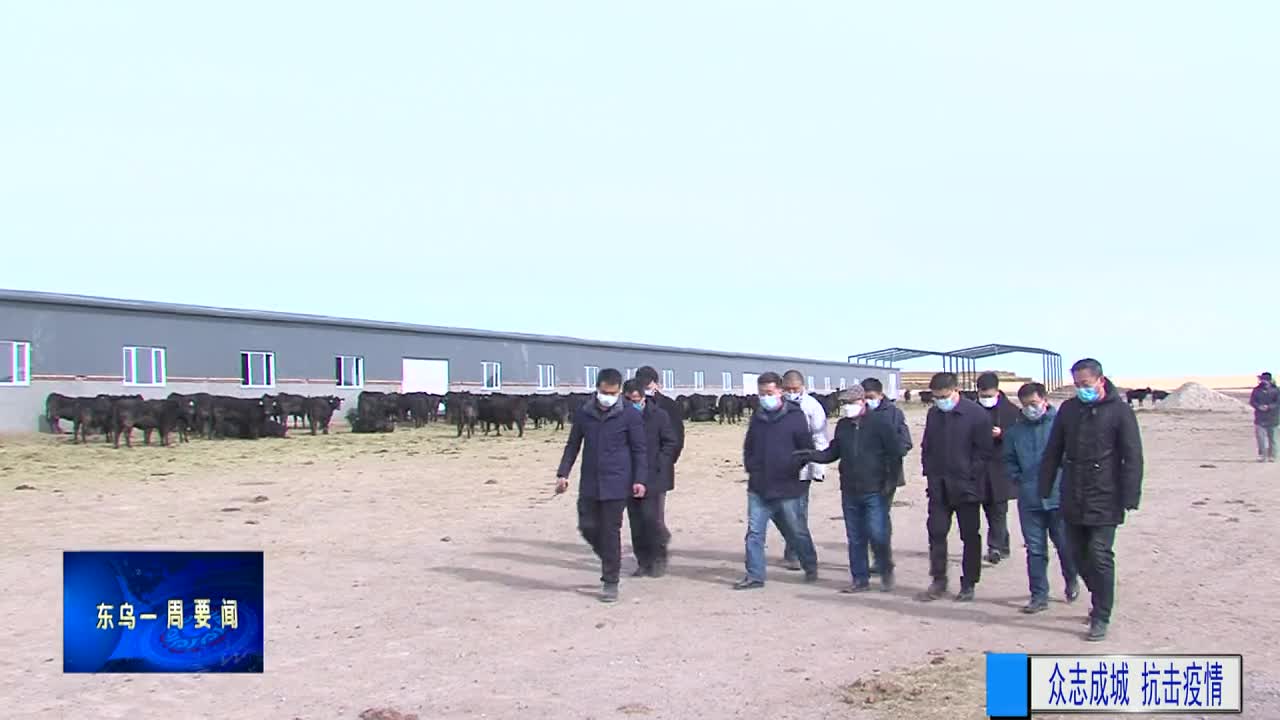 东乌新闻（汉语 03.01）