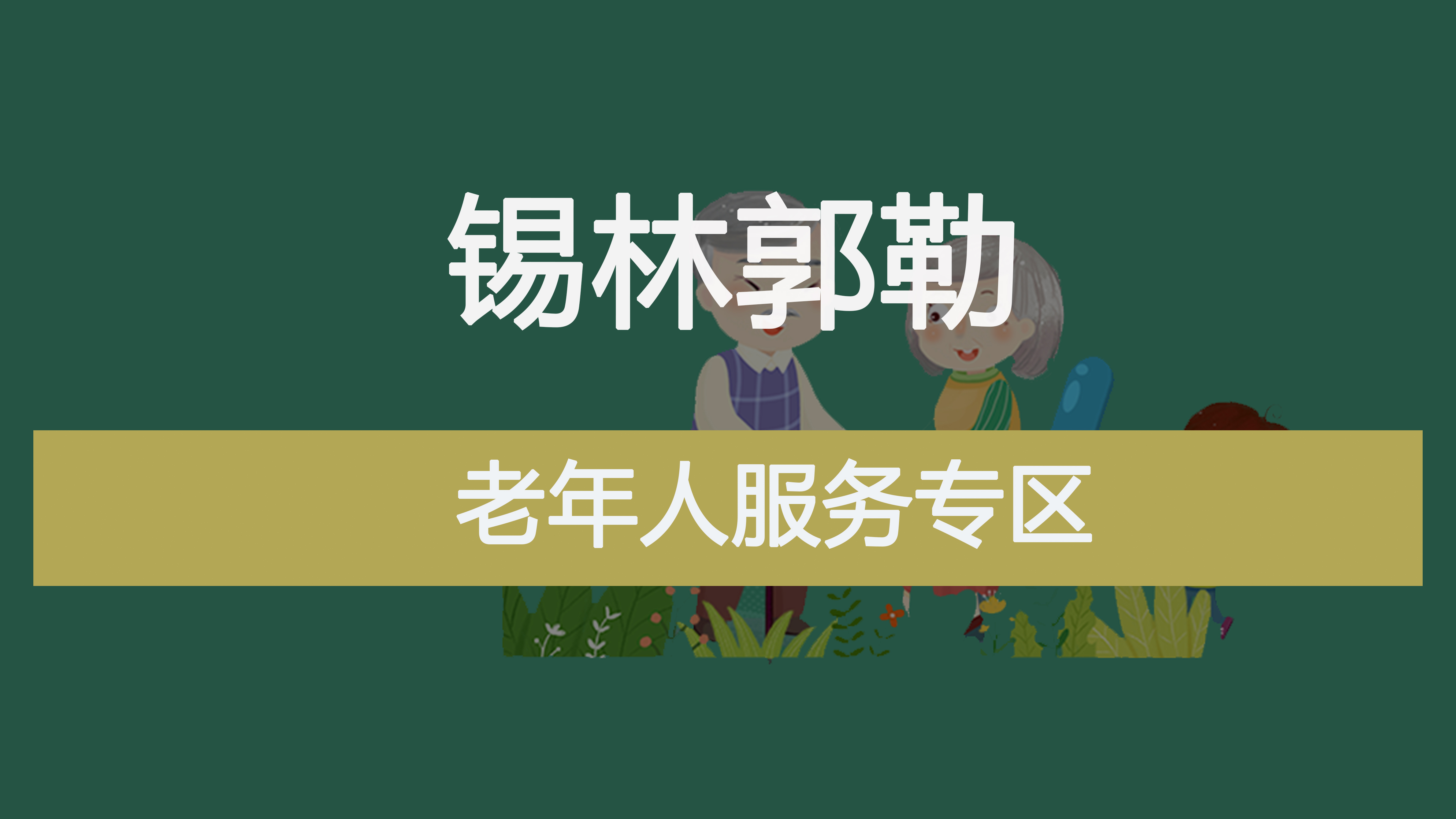 老年人服务专区