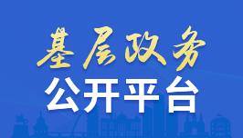 基层政务公开平台